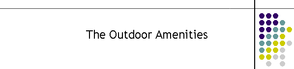 The Outdoor Amenities